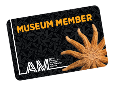 Get even more from your Museum